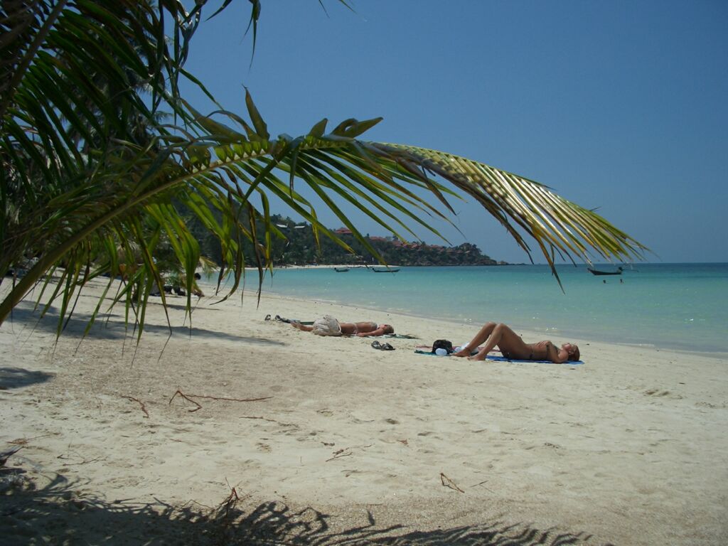 Click to See Next Image